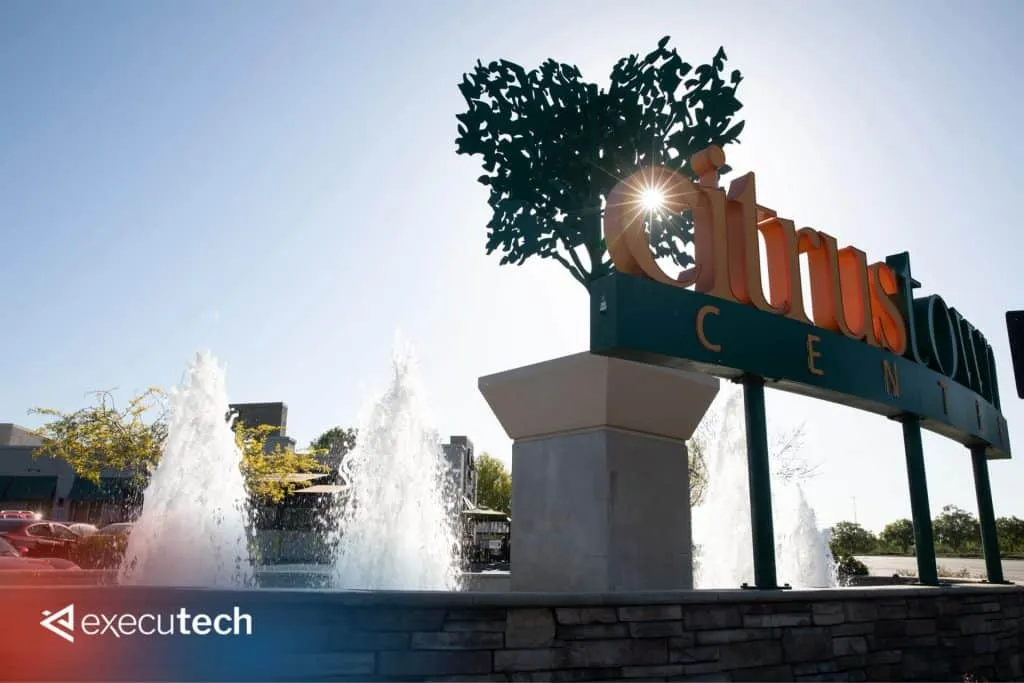 Citrus Heights IT consultants