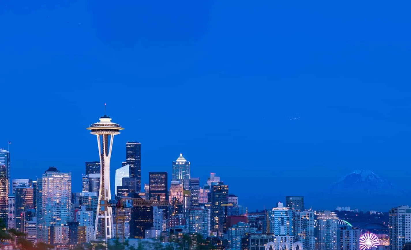Seattle IT Company