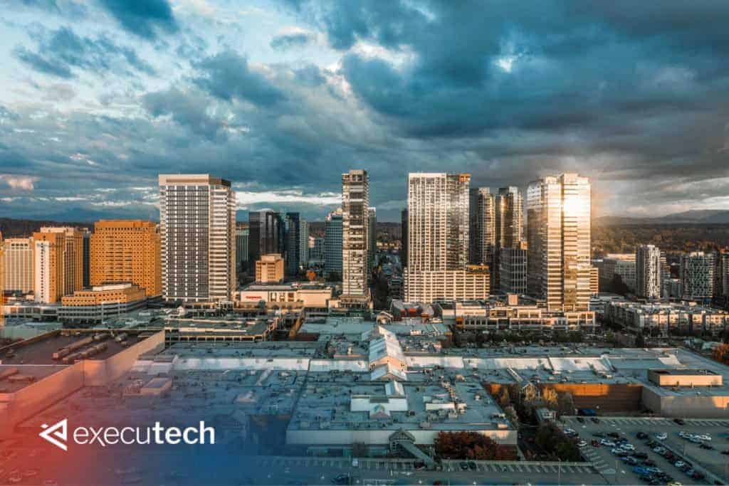 IT Services in Bellevue
